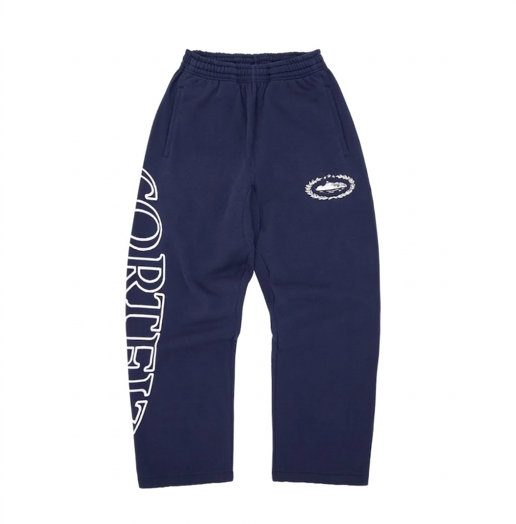 Corteiz Baggy Pants (purple)